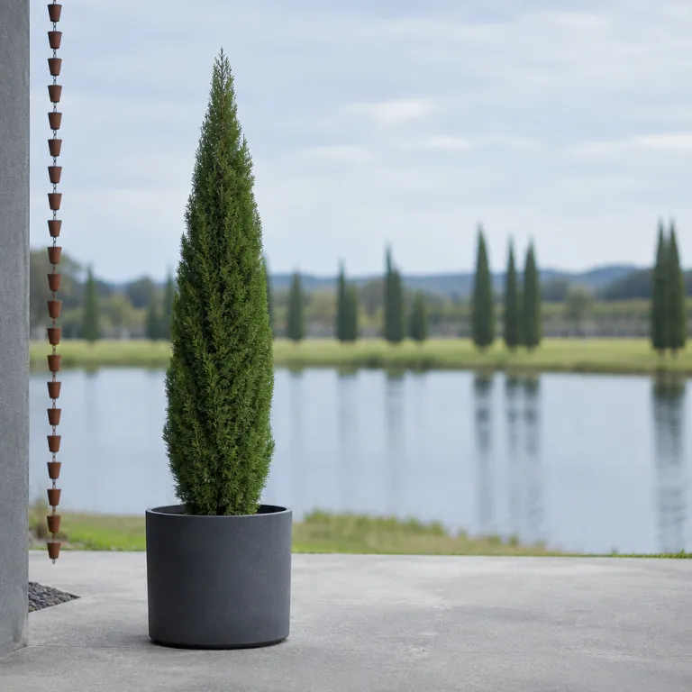 Elegant cypress lakes Pokolbin accommodation for Adelaide Hills travellers